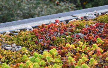 the cost of Lee Bank green roof installation