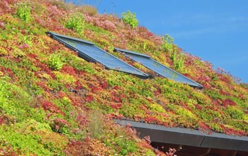 Lee Bank living roof systems