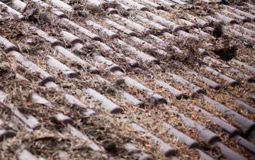 Lee Bank roof cleaning companies