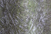 Lee Bank fibreglass roof work